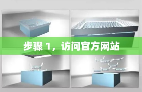 步骤 1，访问官方网站