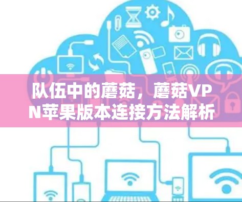 队伍中的蘑菇，蘑菇VPN苹果版本连接方法解析