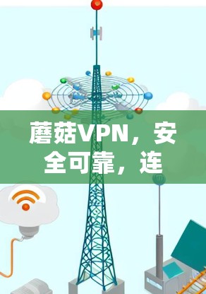 蘑菇VPN，安全可靠，连接更高效