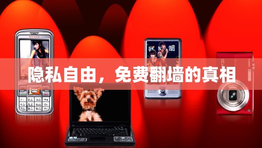 隐私自由，免费翻墙的真相