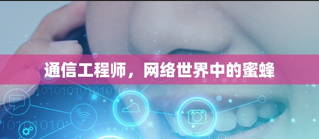 通信工程师，网络世界中的蜜蜂