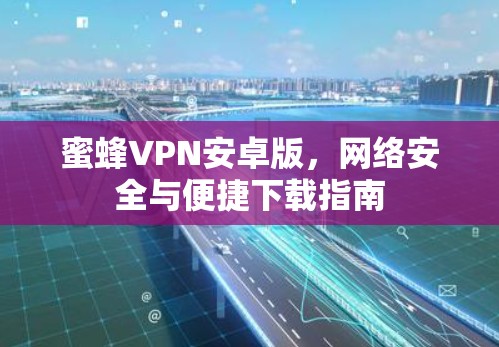蜜蜂VPN安卓版，网络安全与便捷下载指南
