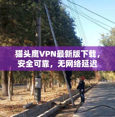 猫头鹰VPN最新版下载,安全可靠,无网络延迟 猫头鹰VPN最新版下载,安全可靠,无网络延迟