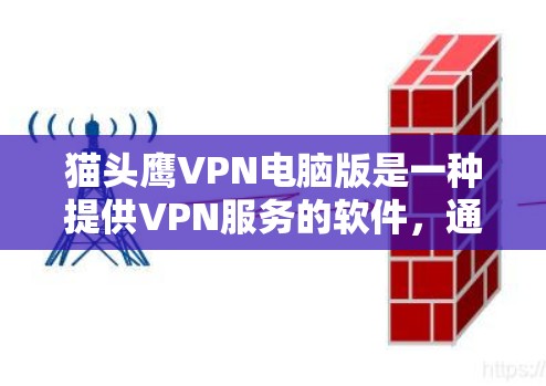 猫头鹰VPN电脑版是一种提供VPN服务的软件，通常基于VPN协议如VPN，允许用户在线或离线访问互联网服务。以下是关于猫头鹰VPN电脑版的详细介绍