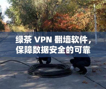 绿茶 VPN 翻墙软件，保障数据安全的可靠选择