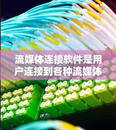 流媒体连接软件是用户连接到各种流媒体内容的工具，涵盖了免费和付费两种类型。以下是详细介绍