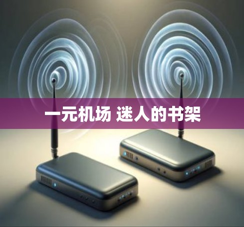 一元机场 迷人的书架