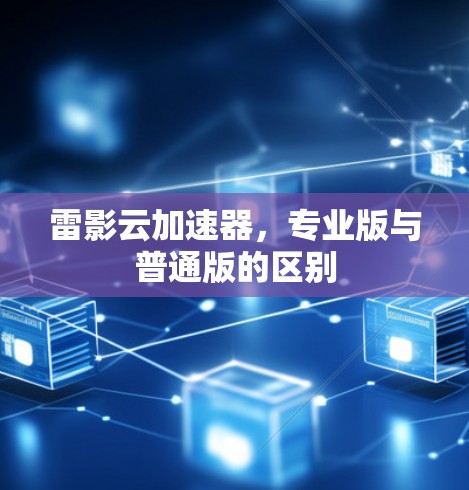 雷影云加速器,专业版与普通版的区别 雷影云加速器,专业版与普通版的区别