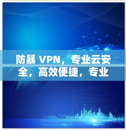 防暴 VPN，专业云安全，高效便捷，专业可靠